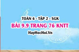 Bài 9.9 trang 76 Toán 6 Tập 2 Kết nối tri thức